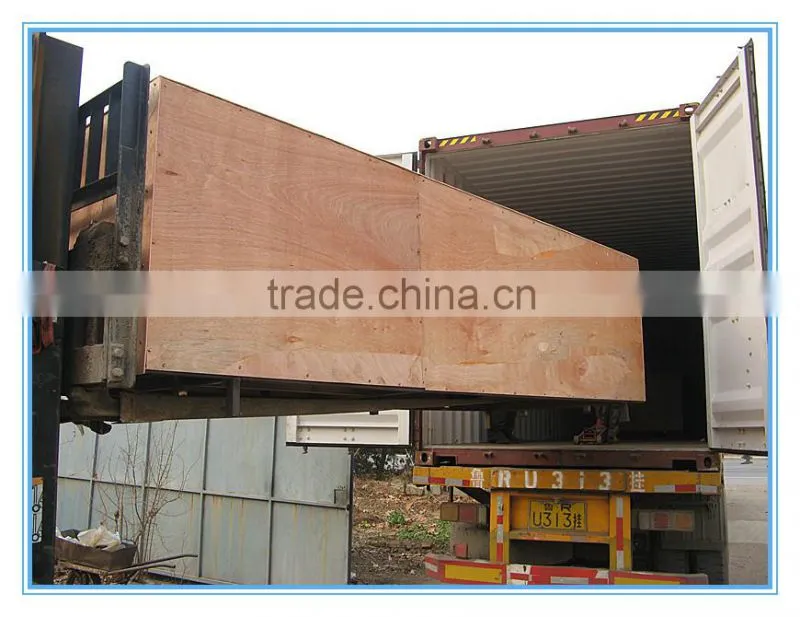 Steam scalding machine of poultry equipment