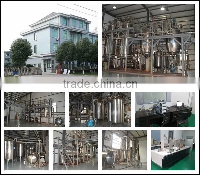 25% anthocyanin mulberry extract/mulberry fruit extract