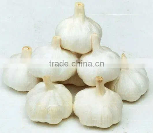 Chinese White Garlic