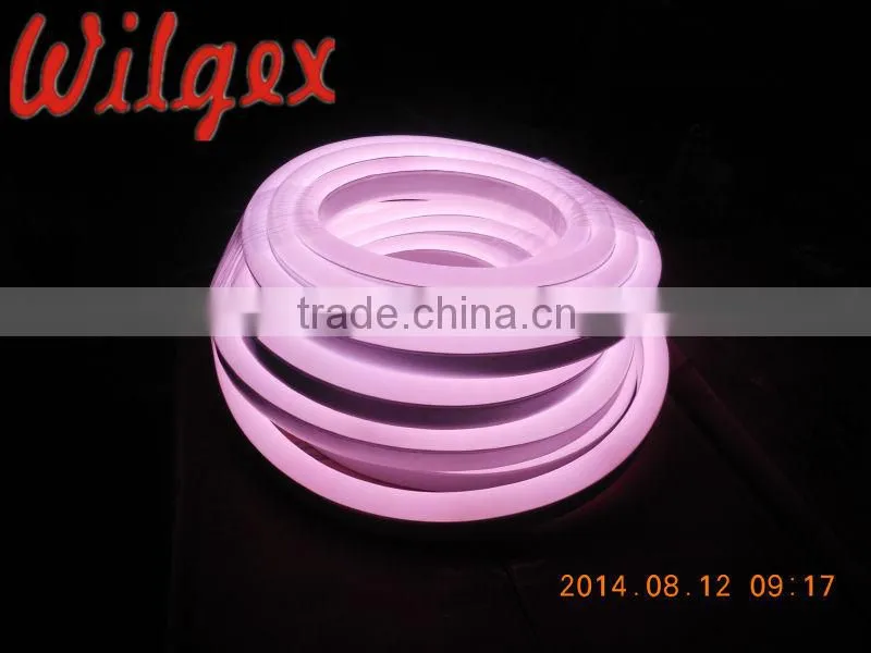 110V IP65 2 Wire LED Flex Neon