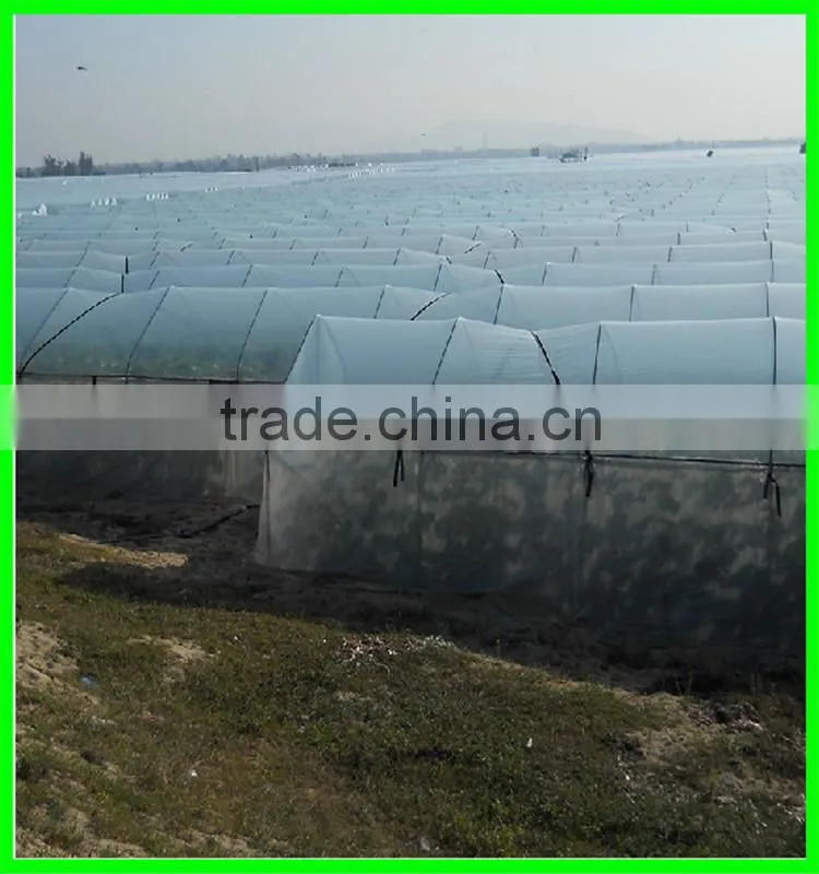 HDPE transparent agricultural anti insect net/insect repellent net