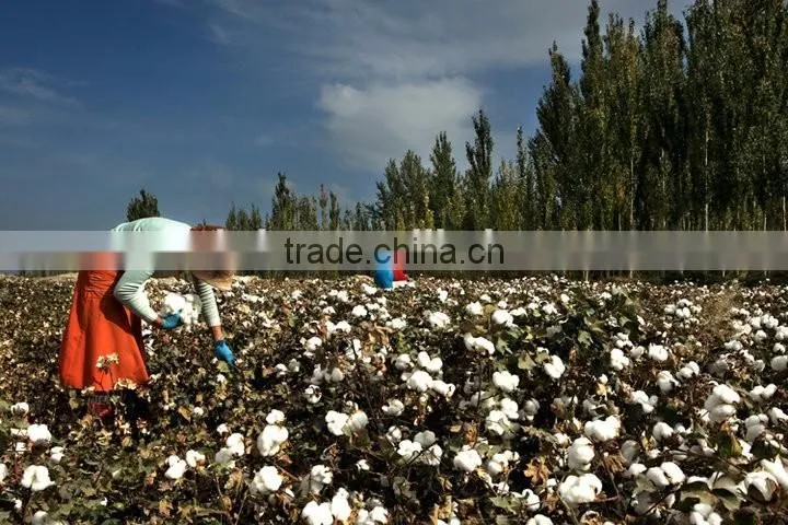New design farm use cotton picking machine/cotton picker