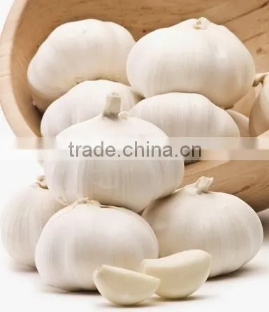 automatic garlic peeler machine/garlic stripper machine