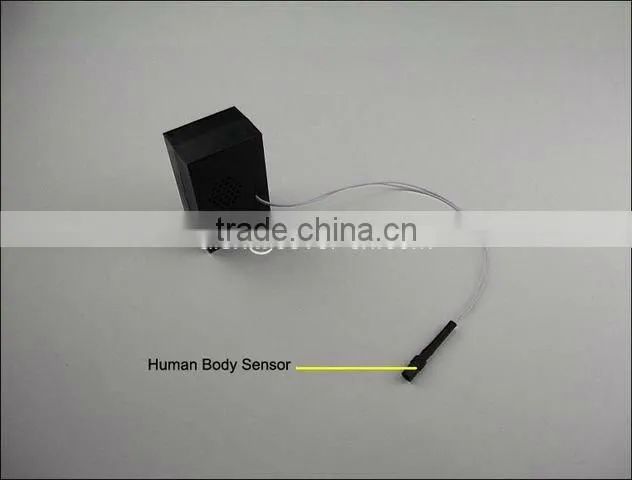 2013 hot-selling Music voice doorbells for Christmas Advertising, Greeting and Promotional Gifts