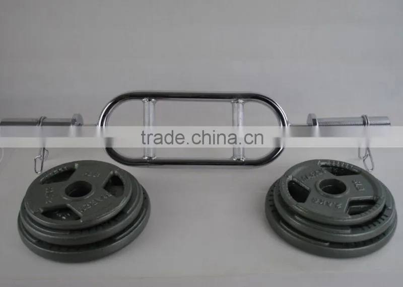 handle painting olympic barbell weight plate in weight lifting