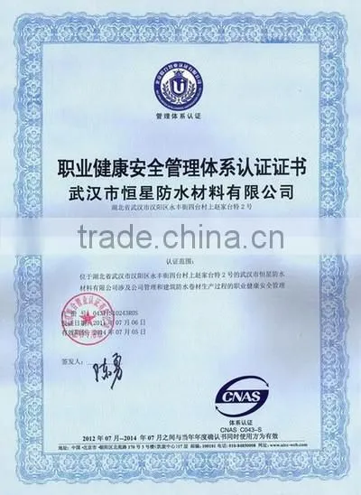 OHSAS18001