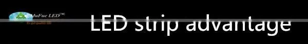 plastic clip strip
