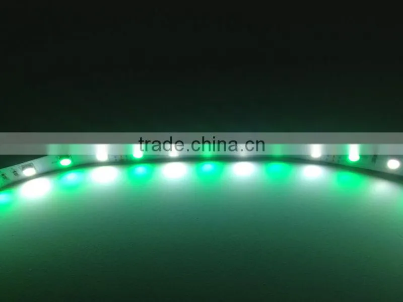RGBW Double Row SMD5050 SMD3528 Waterproof Led Strip Light