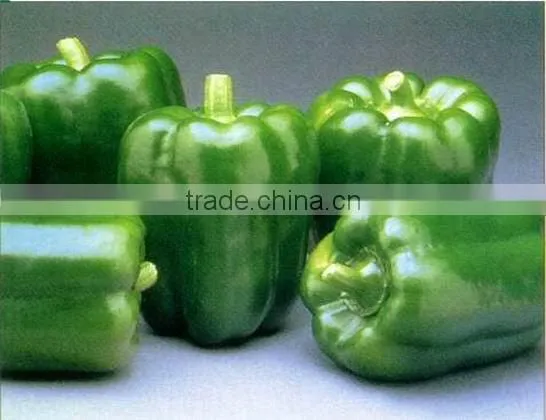 Color pepper ( GREEN - YELLOW - RED )