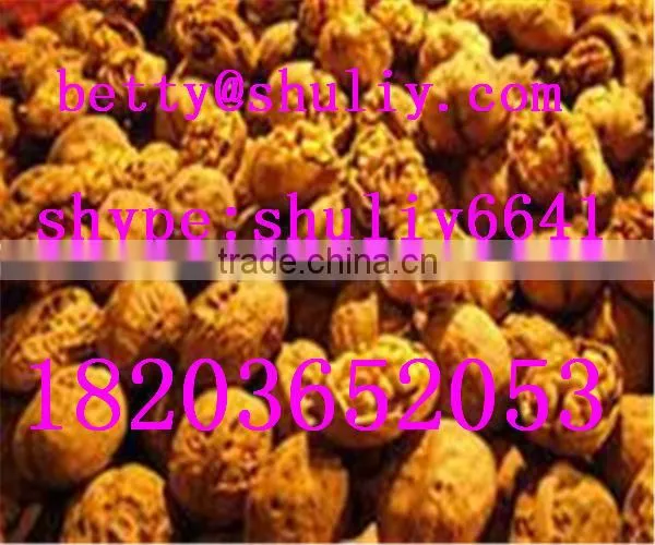 good quality Screw Oil extraction/coconut oil press/Screw copra Oil Press Machine//0086-18203652053
