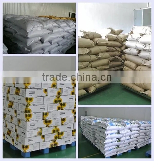 High quality china shine skin pumpkin seed in shell