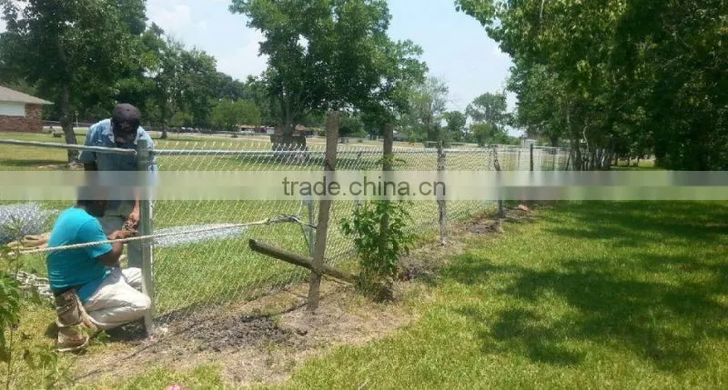 shopping websites diamond pattern green pvc coated chain link fence for playground