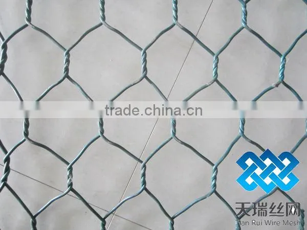 Galvanized chicken wire netting