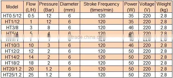 Electromagnetic Swimming Pool Dosing Pump