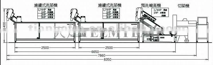 TW-306L Continuously Vegetable Washing Machine (Video) Factory