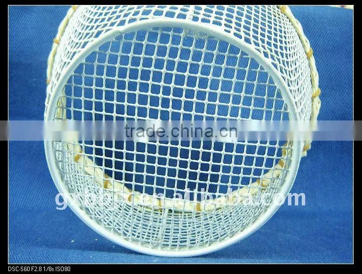 White round wire decorative with plant fruit storage container