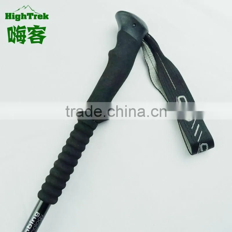 GS approved hiking poles