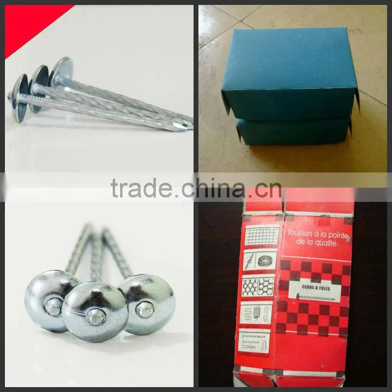 china roofing nails/roofing nails umbrella head/roofing nails cheap price