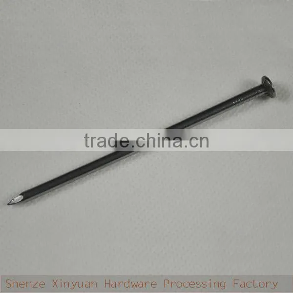 Xinyuan Hardware factory supply common nails