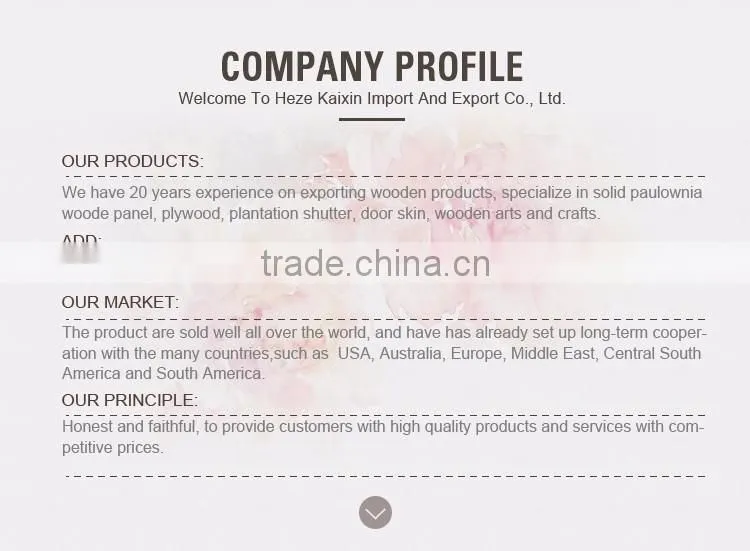 various types hdf molded smooth door skin