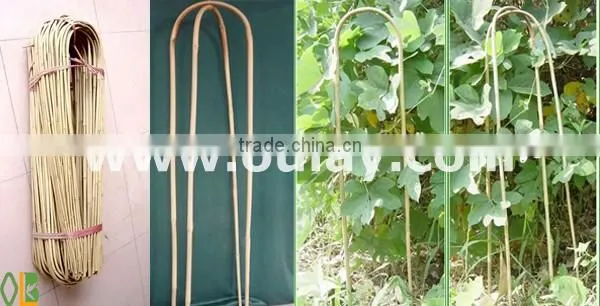 U shape bamboo canes
