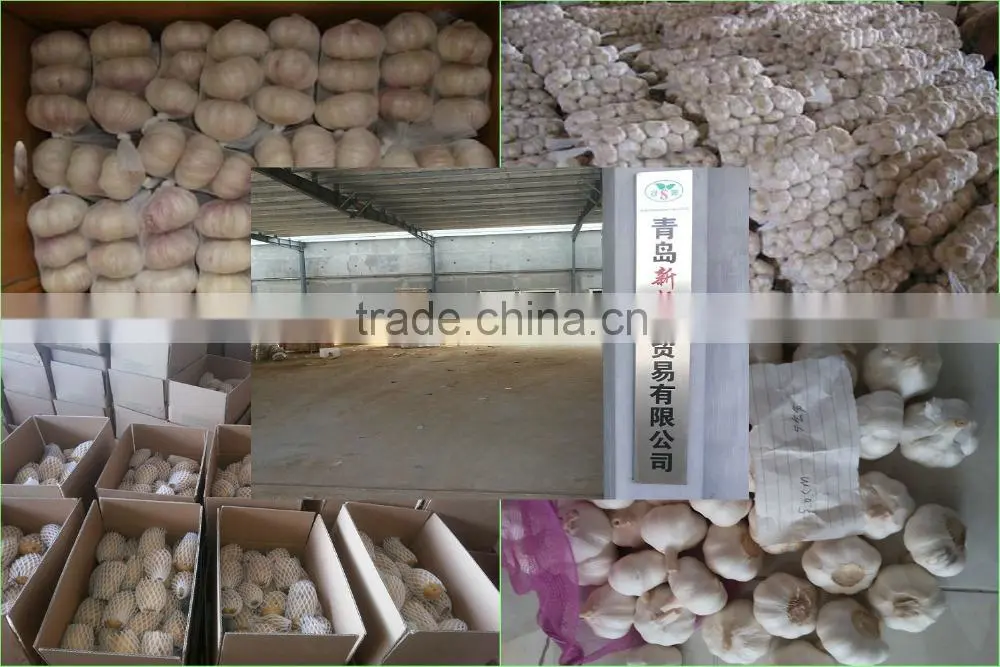 Not the best;Only better!Pure white garlic/white garlic exports