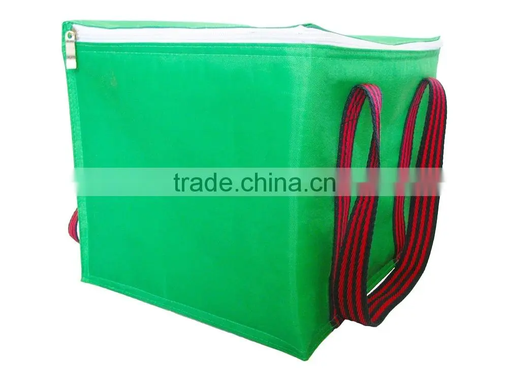 Cooler Bag