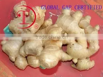 150g & UP fresh ginger