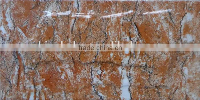 6D Inkjet painting outdoor wall tile100x200mm