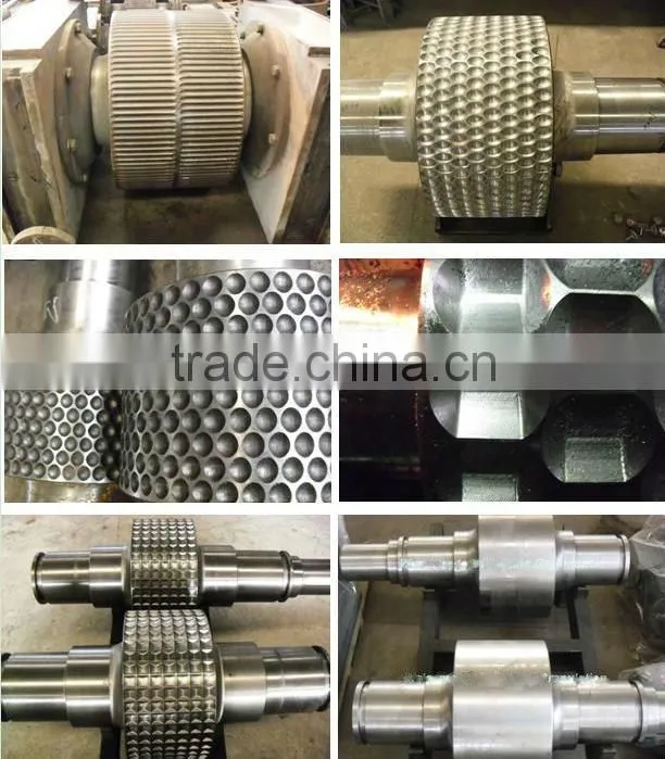 dry granulation roll compactor/roll extrusion granulator machine
