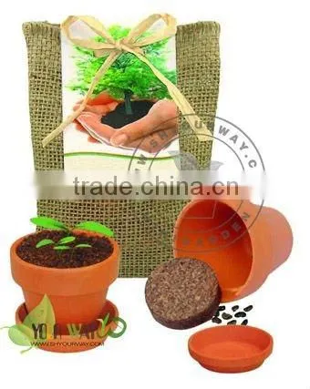 Mini garden,Little garden.Mini plant