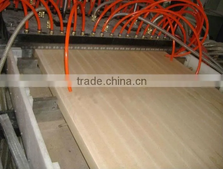 PVC WPC large door pannel mould pvc extrusion mould