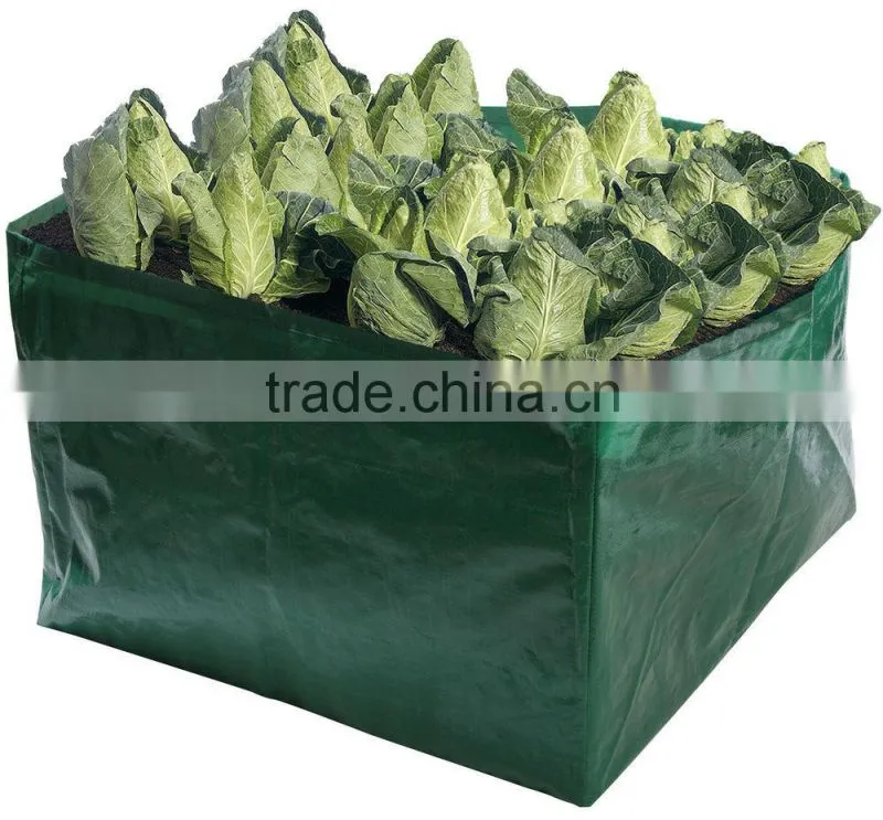Environmental Friendly PE Salad Growing Bag,Reusable Salad Planter Bags,Salad Planters