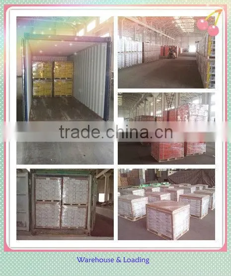 coil nail manufacturer