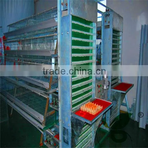galvanized material welded wire mesh cage for quail