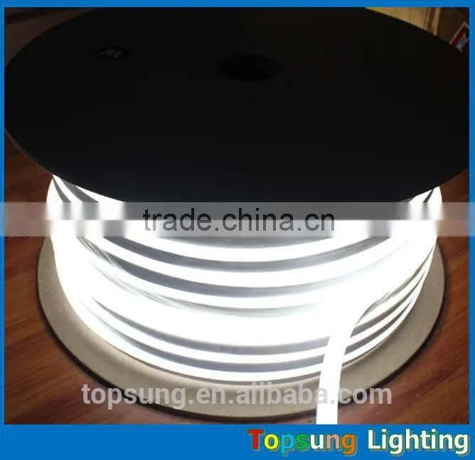 waterproof IP65 12v/24v led neon light with indoor and outdoor use