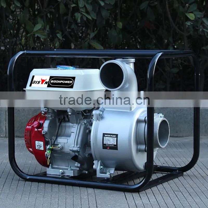 BISON(CHINA) BSWP40 Garden Tool Jet Pump Pressur Washer Pump