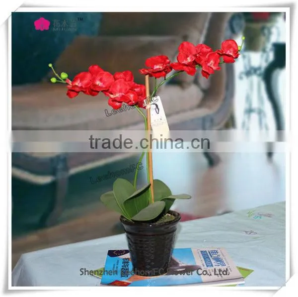 Cream Real Touch Orchid Wholesale Decorative Cheap Silk Flowers