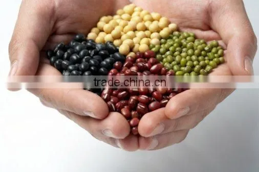 Azuki bean of china