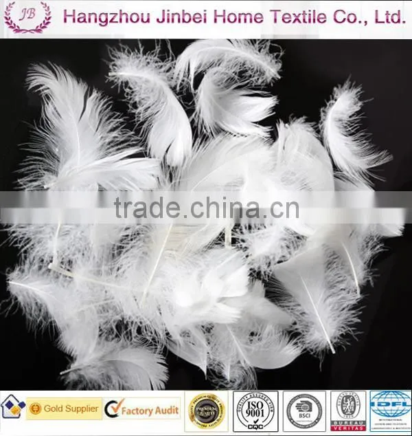 washed duck feather 2-4white duck feather filling material IDFL standard