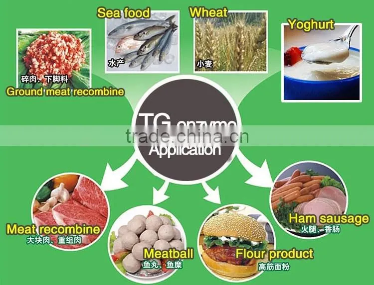 Food additive Transglutaminase for kosher ham sausage