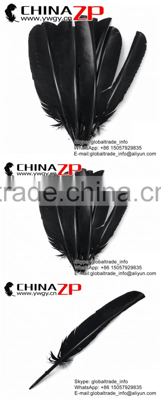 CHINAZP Cheapest Plumage Natural Dyed Black Turkey Pointers Quill Large Feathers Pens for Sale