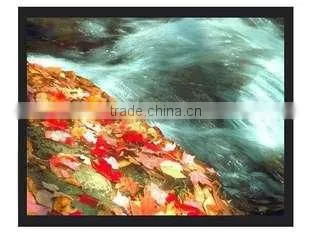 Fixed Wall Screen With Bright Image