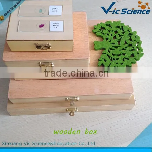 Different glass microscope slides storage box