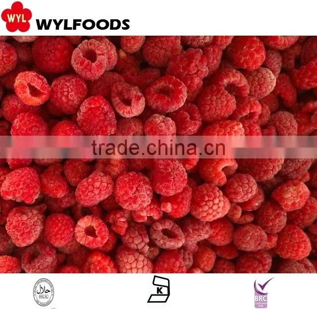 IQF frozen raspberry