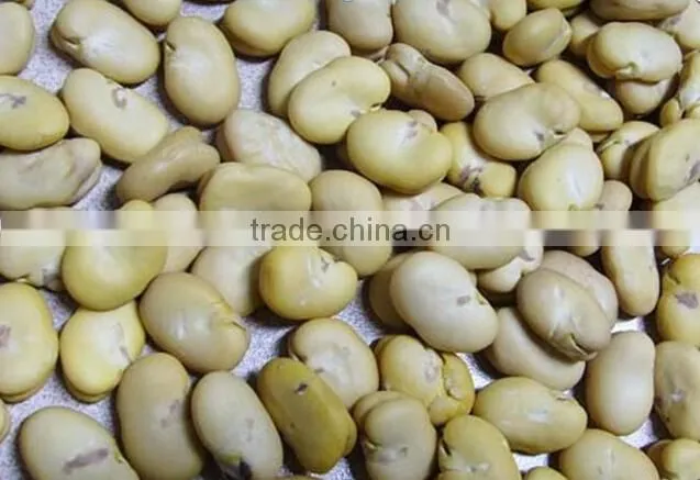 automatic wet way nut peeling machine/peanut peeling machine/almond peeling equipment