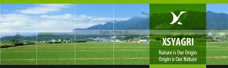 Natural leonardite humic acid powder 50%