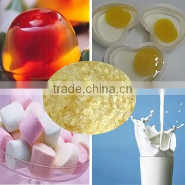 animal bone gelatin in powder/gelatin manufacturer/halal gelatin powder plant