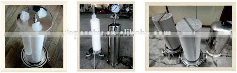 Polytetrafluoroethylene (PTFE) Cartridge Filter