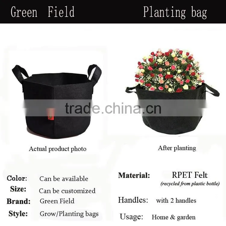 home decoration plant pot,eco garden plant pot
